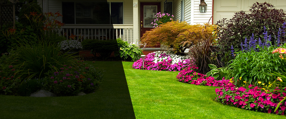 Escondido Landscapers