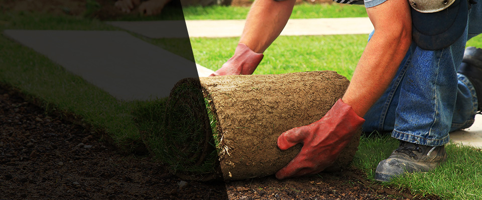 Escondido Landscapers